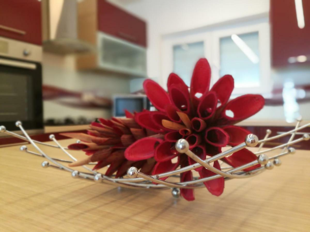 רייקה Apartment Bellavista מראה חיצוני תמונה