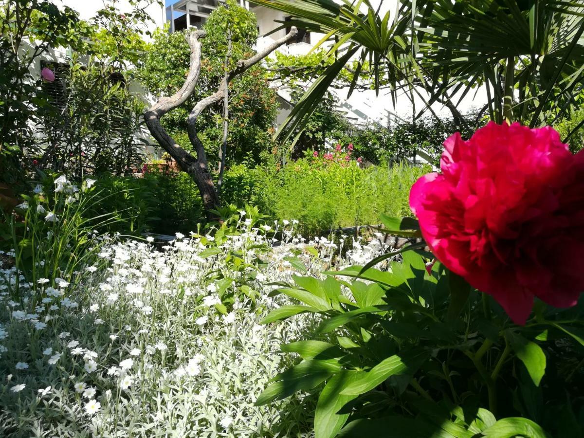 רייקה Apartment Bellavista מראה חיצוני תמונה